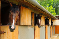 free Penybontfawr stable construction quotes